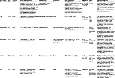 Transcranial magnetic stimulation for the treatment of chronic low back pain: a narrative review